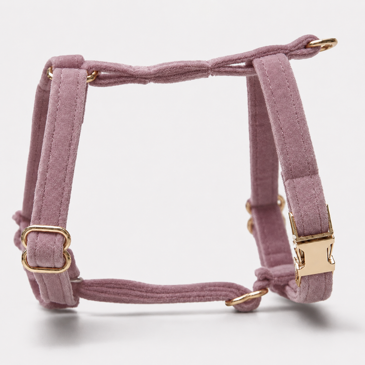 Hundsele Petit Soft Mauve