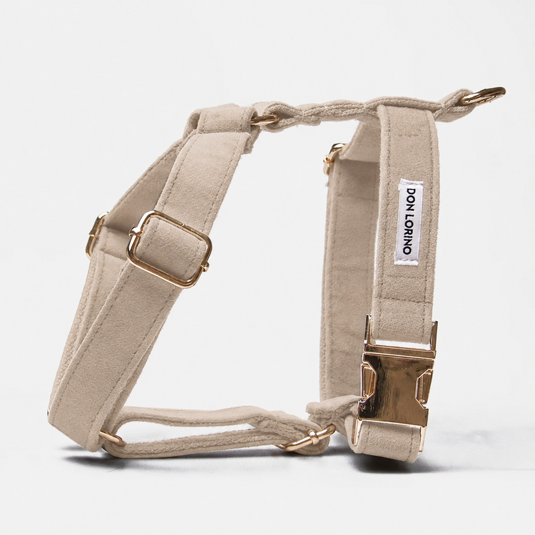 Hundsele Click Soft Champagne