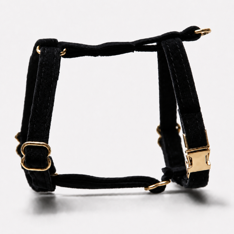 Hundsele Petit Soft Black