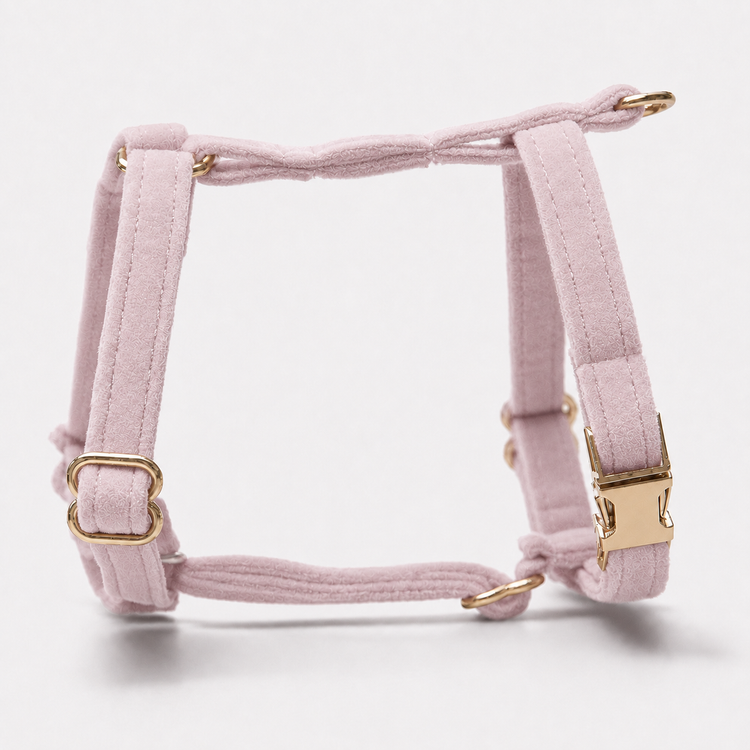 Hundsele Petit Soft Pink