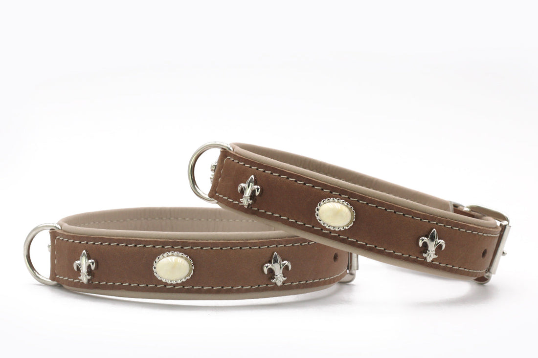Hundhalsband läder Ibiza Style – Maul Ledermanufaktur