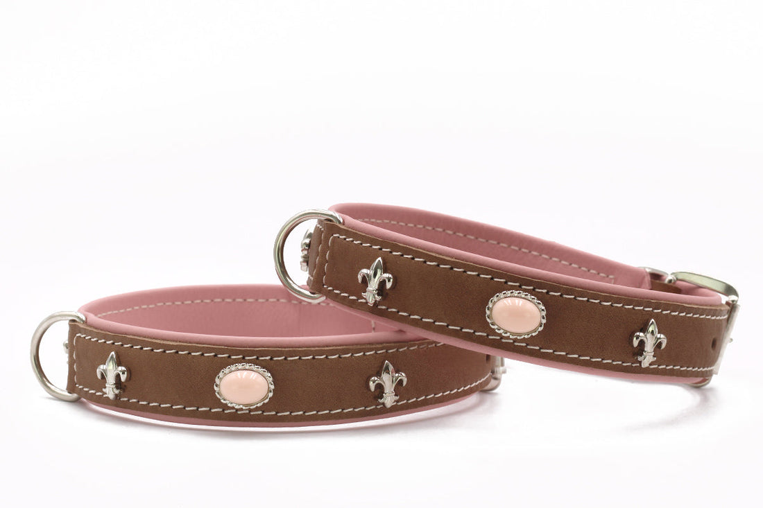 Hundhalsband läder Ibiza Style – Maul Ledermanufaktur