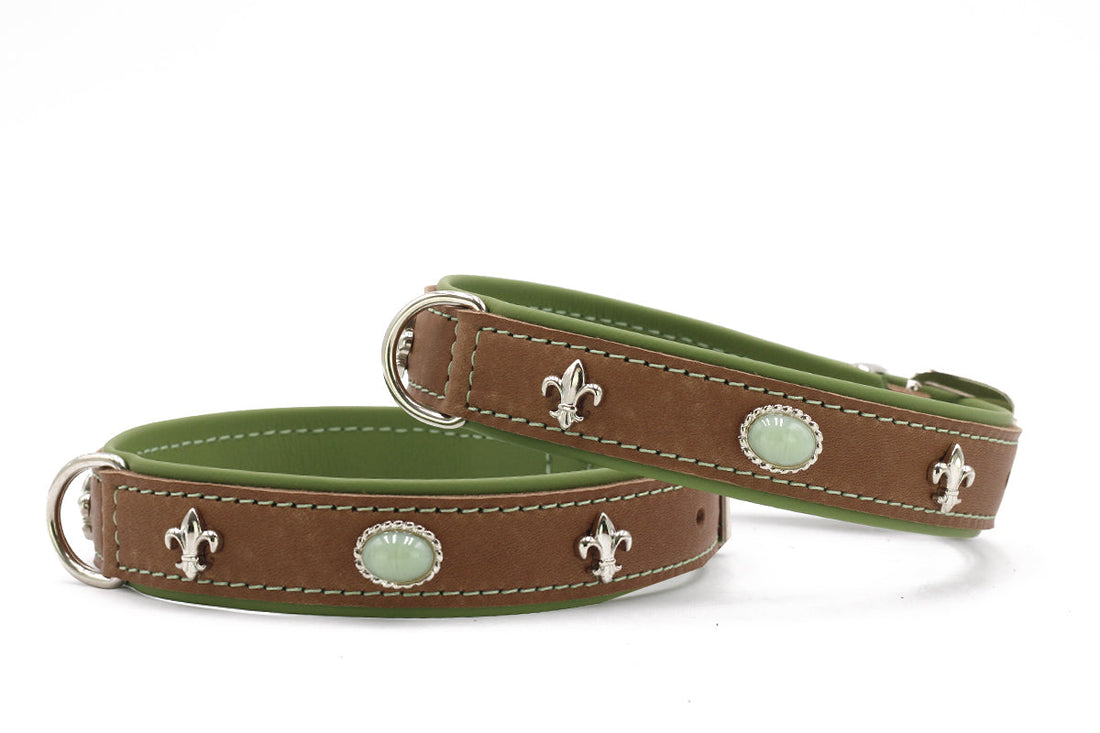 Hundhalsband läder Ibiza Style – Maul Ledermanufaktur