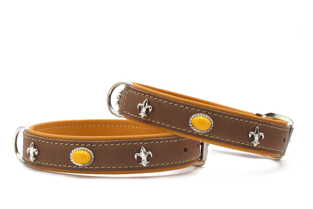 Hundhalsband läder Ibiza Style – Maul Ledermanufaktur