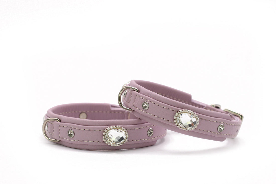 Hundhalsband läder Mini Diamond – Maul Ledermanufaktur