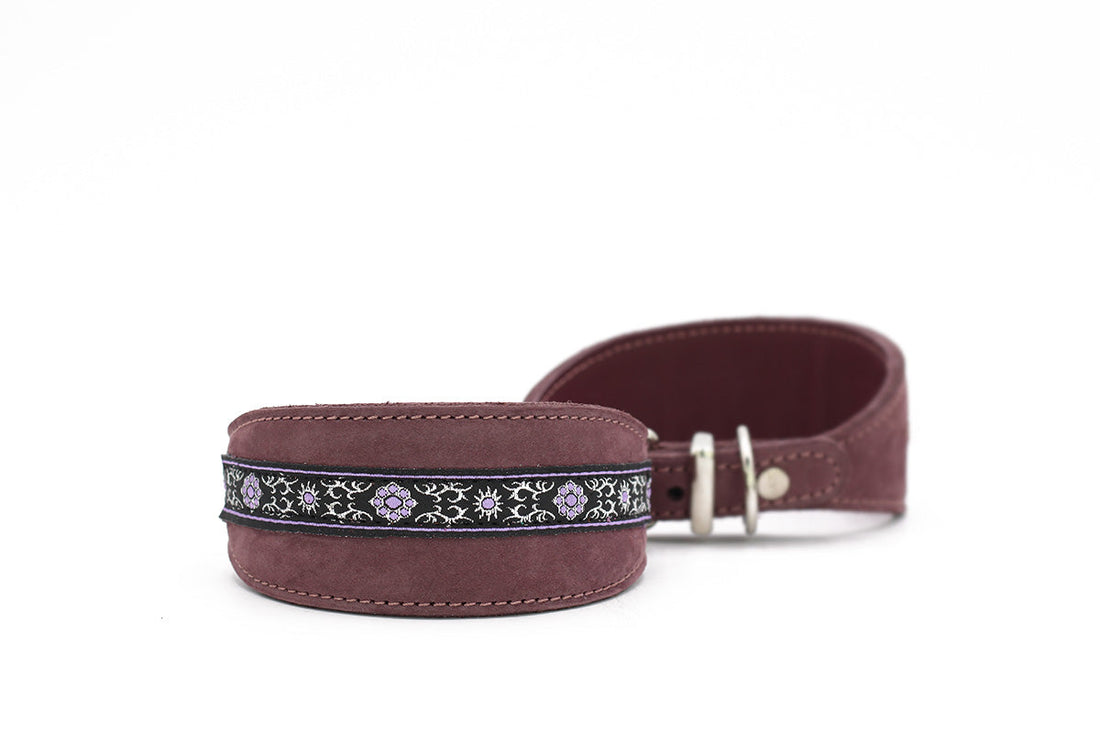 Hundhalsband läder Vinthund Borte – Maul Ledermanufaktur
