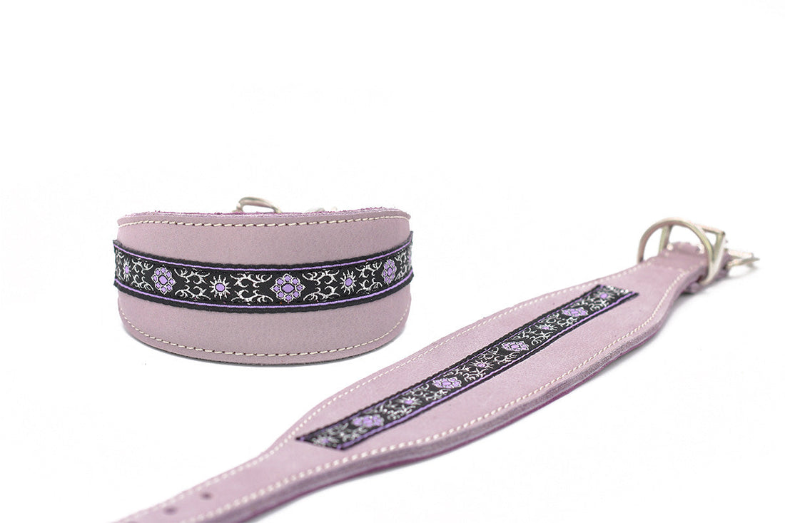 Hundhalsband läder Vinthund Borte – Maul Ledermanufaktur