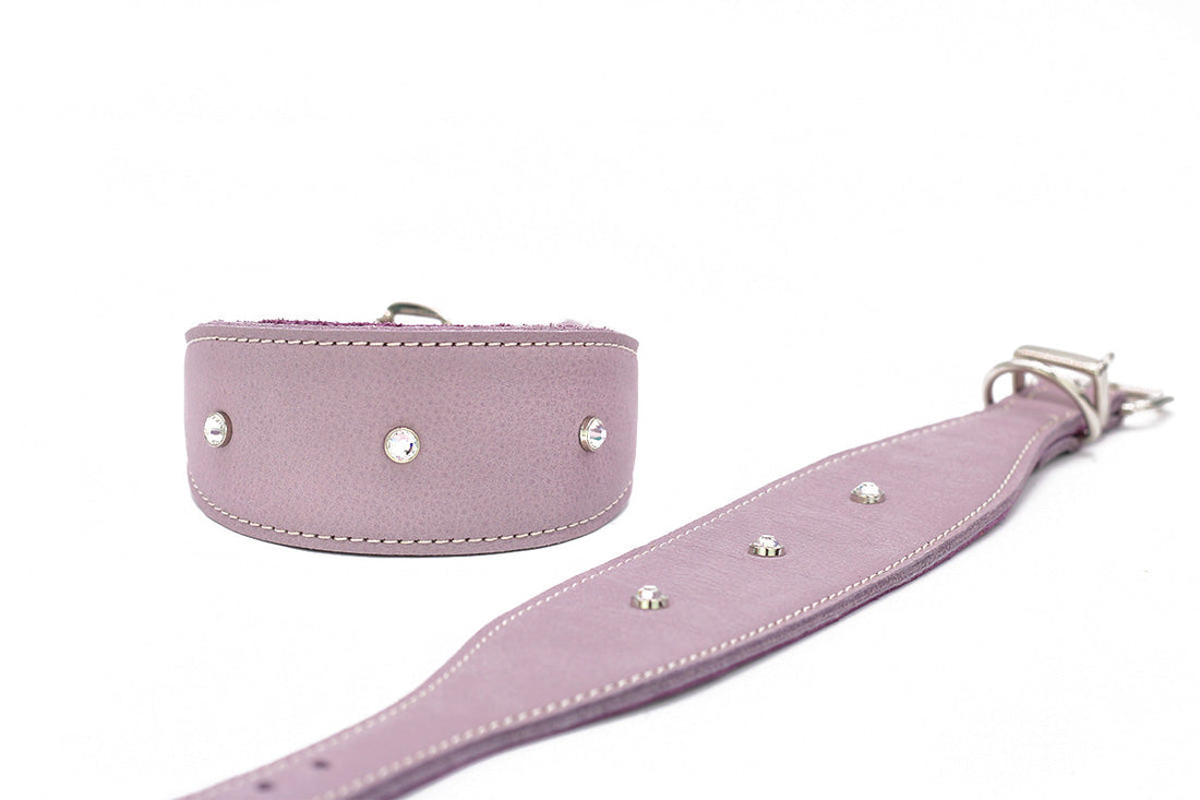 Hundhalsband läder Vinthund Diamond – Maul Ledermanufaktur