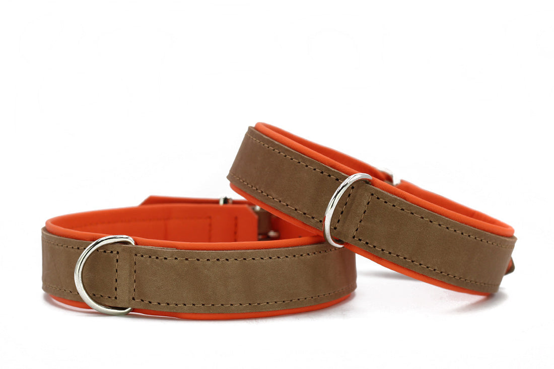 Hundhalsband läder Klassik Premium Mokka – Maul Ledermanufaktur - Orange